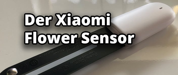 Der Xiaomi Flower Sensor im Smart Home